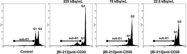 [Bi-213]anti-CD20 arrests the cell cycle in G2/M-phase in CD20-positive NHL cells.