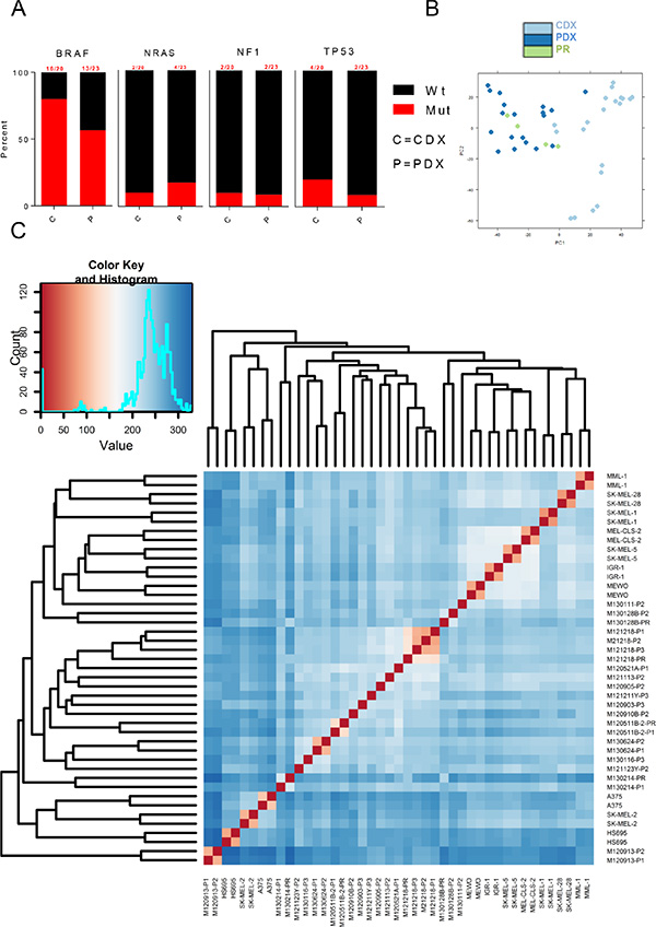 Transcriptome-wide differences between CDXs and PDXs.