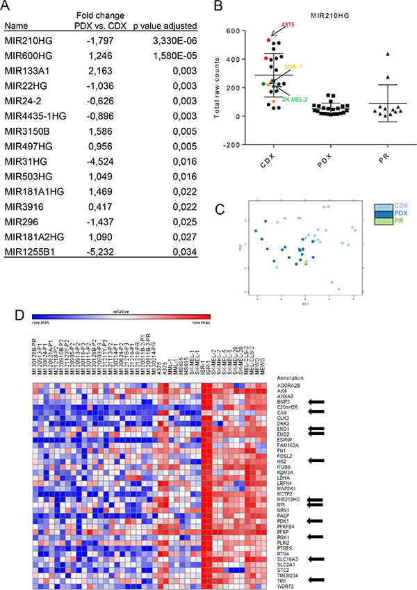 Differential regulation of miRNAs between PDXs and CDXs.