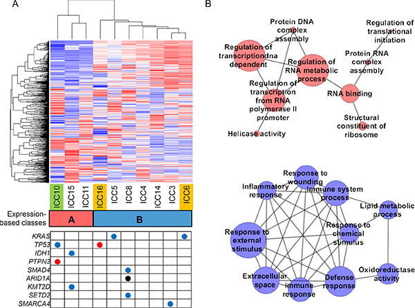 Expression-based ICC taxonomy.