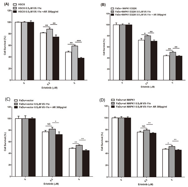 MAPK1 inhibition decreased sensitivity to erlotinib in