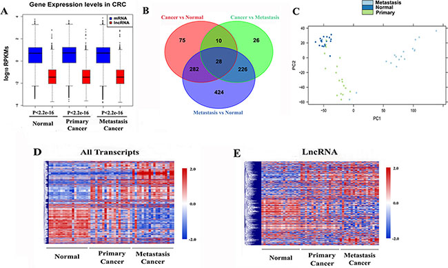 Global transcriptomic patterns in CRC.