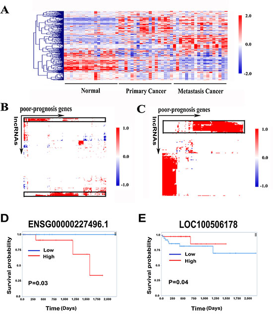 Identification of poor-prognosis gene signatures associated lncRNAs.
