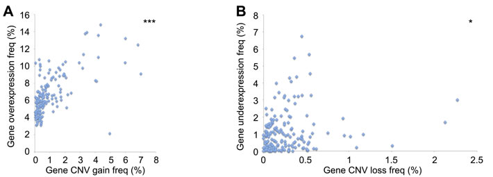 Association between DNA repair CNV and gene expression