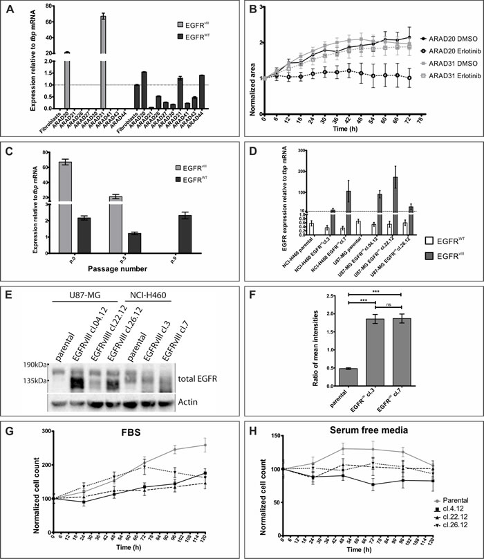 Assessment of models currently used to study EGFR