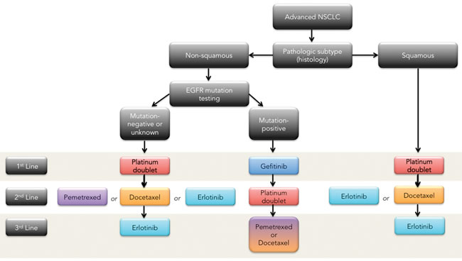 NSCLC therapeutic management algorithm (maintenance therapy not included)