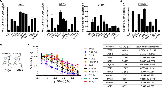 Ewing Sarcoma cell lines overexpress BRD2, BRD3, BRD4 and EWS-Fli1 at mRNAs level and are sensitive to BET proteins inhibition.