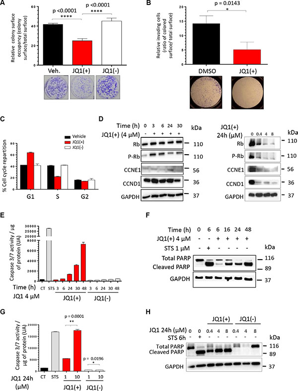 JQ1 inhibits the clonogenicity, the migratory potential and induces both a G1-phase cell cycle arrest and the apoptosis of human Ewing Sarcoma cell lines.