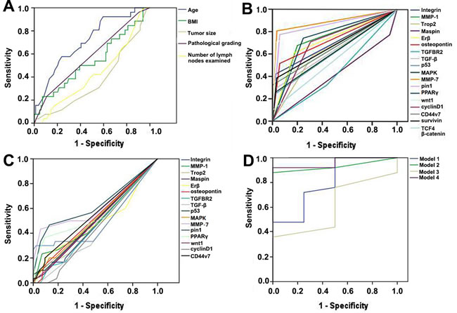 Receiver Operating Characteristic (ROC) curves represent