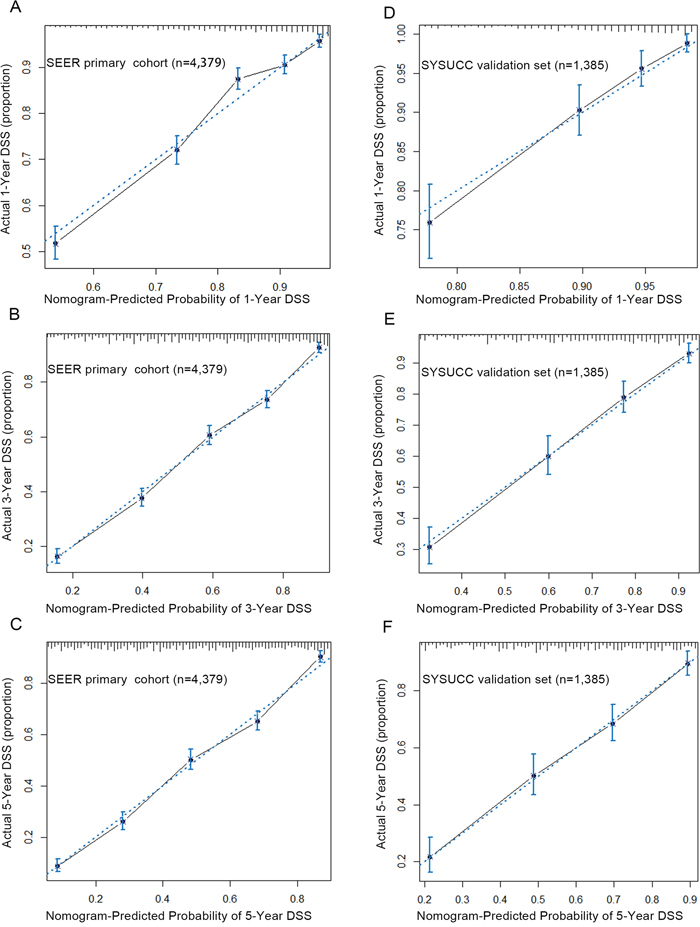 The calibration curve for predicting patients&#x2019; DSS at 1&#x2013;year A. 3&#x2013;year B. and 5&#x2013;year C. in the SEER primary cohort and predicting DSS at 1&#x2013;year D. 3&#x2013;year E. and 5&#x2013;year F. in the SYSUCC validation set.