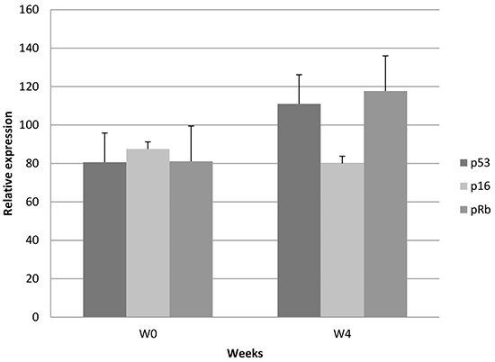 Relative IHC changes in p53, p16, and pRb.