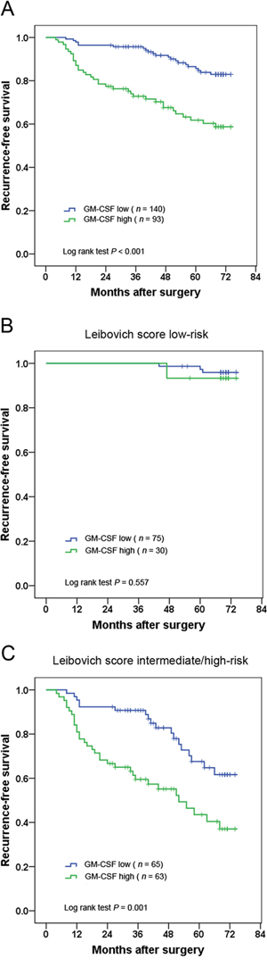 Kaplan&#x2013;Meier analysis for recurrence-free survival (RFS) of clinically localized ccRCC patients according to intratumoral GM-CSF expression.