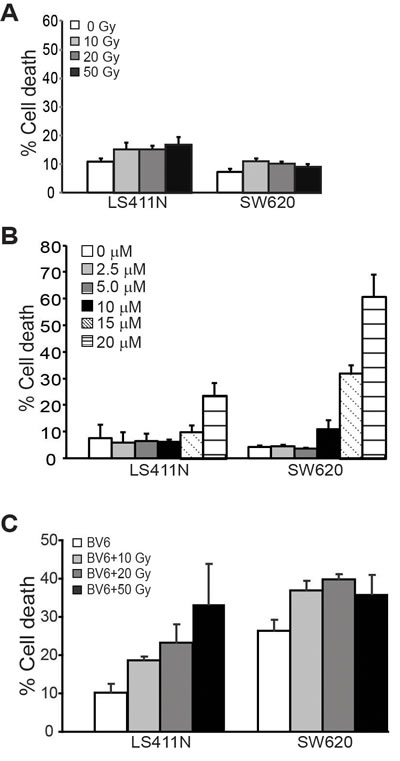 BV6 increases the sensitivity of human colon carcinoma cells to radiation-induced cell death.