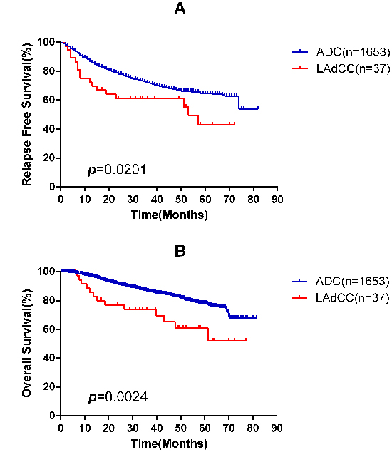 Kaplan-Meier survival curves for relapse-free survival A. and overall survival B. according to lung adenocarcinoma with clear cell component (LAdCC) and lung adenocarcinoma (ADC).