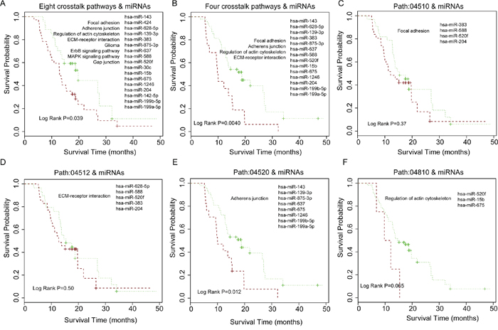Patient survival analysis for grade IV (GBM) samples and comparison of patient survival for using pathway crosstalk information versus not.