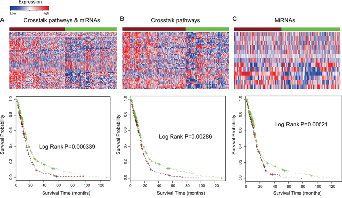 Combination of pathway crosstalk information and miRNAs predict glioma patient clinical outcome in TCGA dataset.