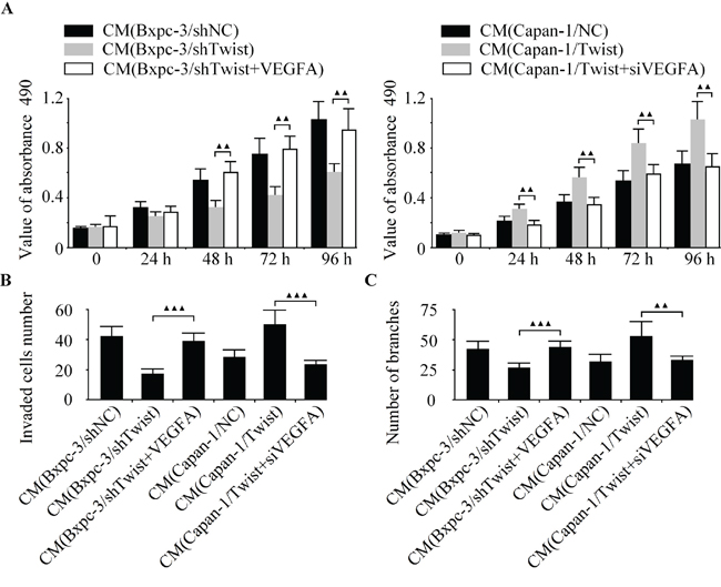 Twist promotes pancreatic cancer angiogenesis through miR-497 targeting of VEGFA