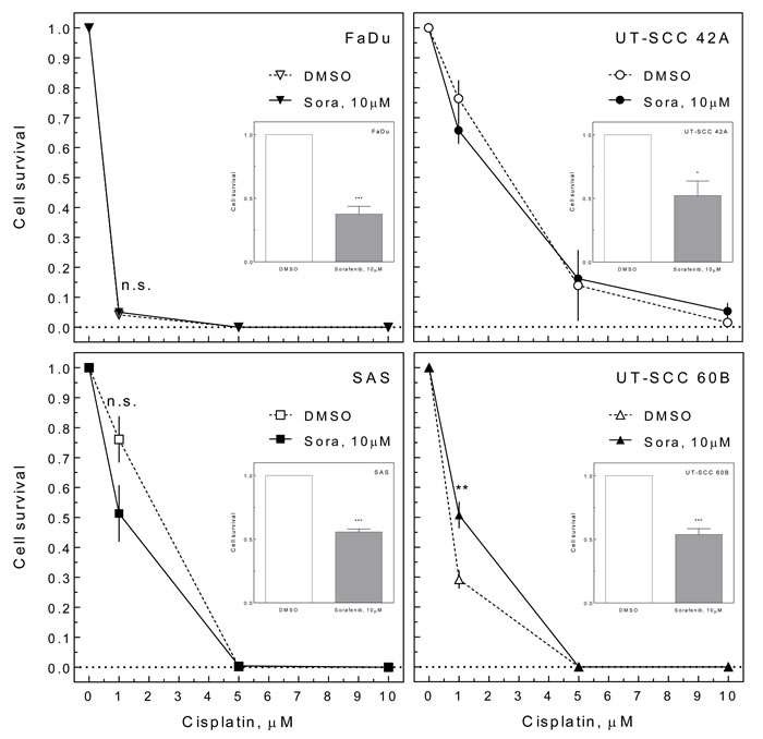 Effect of sorafenib on cisplatin-induced cell inactivation.