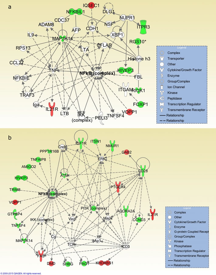 The highest-ranking networks from the 16 known genes harboring the top 19 significant (FDR &lt; 0.5) CpG sites