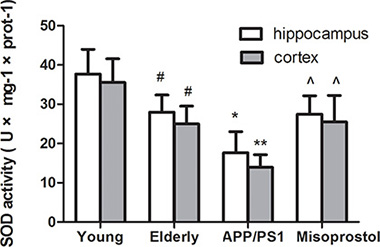 Changes of SOD activities in hippocampus and cortex.