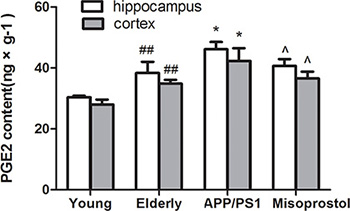 Changes of PGE2 contents in hippocampus and cortex.