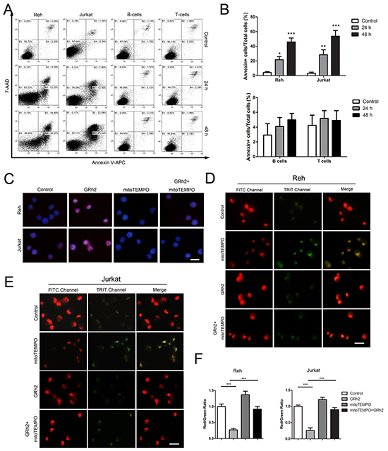 GRh2 induces mitochondria-dependent apoptosis in ALL cells.
