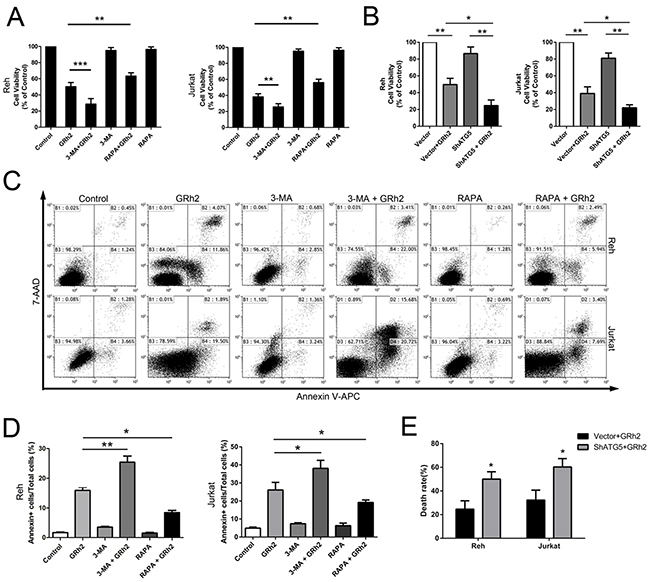 Autophagy is involved in 20(S)-GRh2-induced toxicity in ALL cells.