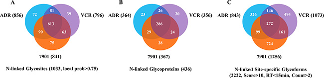 Venn diagram for numbers of N-glycosites, N-glycoproteins and site-specific glycoforms identified in SGC7901 and its MDR derivates.