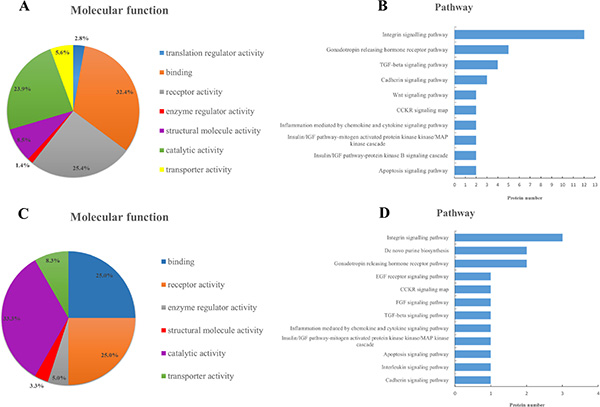 Ontology analysis of 163 glycoproteins corresponding to significantly different glycosites.