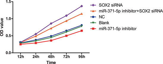 MTT assay detecting the effect of inhibiting miR-371-5p expression on GC cell growth (compared to the control group, P &#x003C; 0.05).