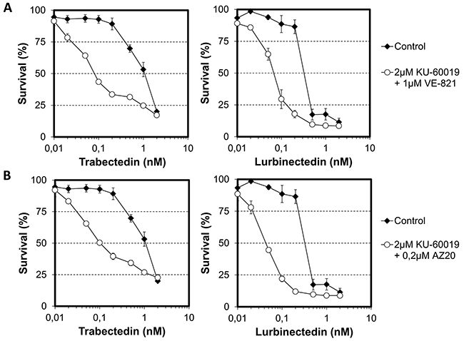 Influence of combinations of checkpoint abrogators on the cytotoxic activities of trabectedin and lurbinectedin.