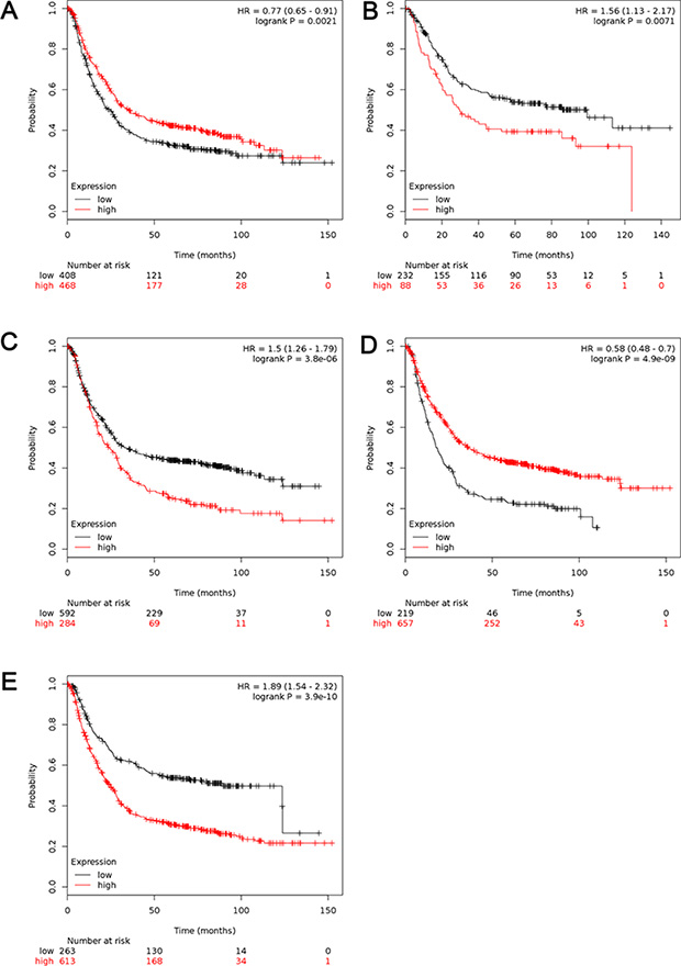 The prognostic value of mRNA level of ALDH1 isoenzymes in all GC patients (n = 876).