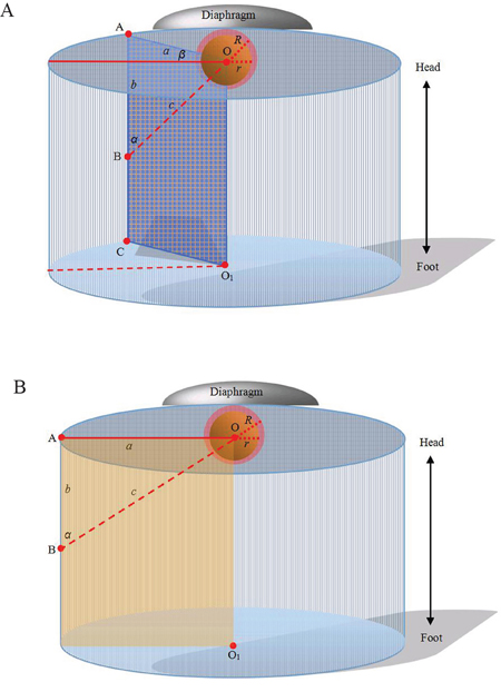 Computer representations of regular cylinder model.