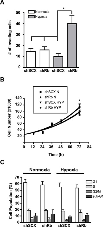 Hypoxia-inducible increase in invasion but not cell cycle or proliferation in LNCaP prostate cancer cells lacking Rb.