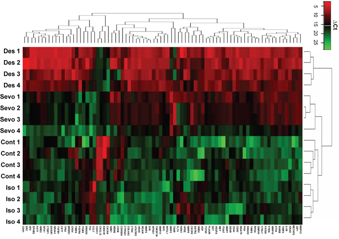 Isoflurane, Sevoflurane and Desflurane alter mRNA expression levels of tumour metastasis genes shown by array analysis.