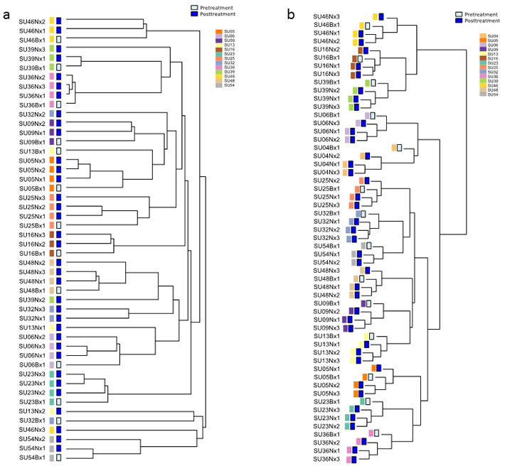 Hierarchical clustering dendrograms of methylation and mutational data.