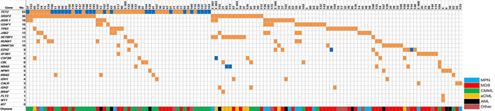 Distribution of mutations among 125 patients with detectable pathogenic variants.