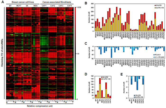 Compression-induced changes in microRNA expression level in breast cancer.