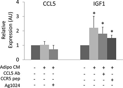 Cross-regulation of CCL5 and IGF-1 in cancer cells.