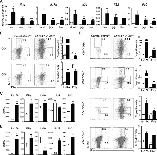 Lack of IL-10 signaling in CD11c+ cells leads to enhanced T cell activation in the SI.