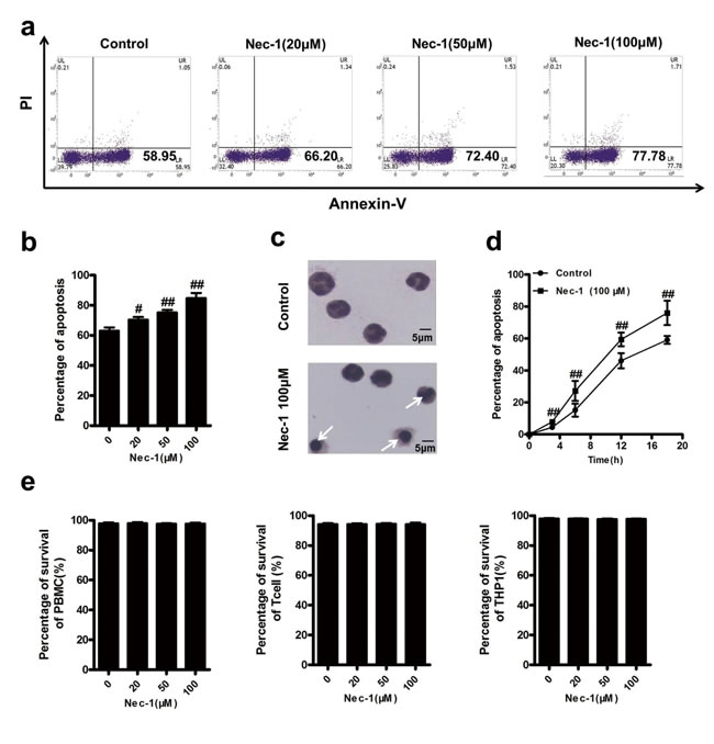 Nec-1 specifically induced human neutrophil apoptosis.