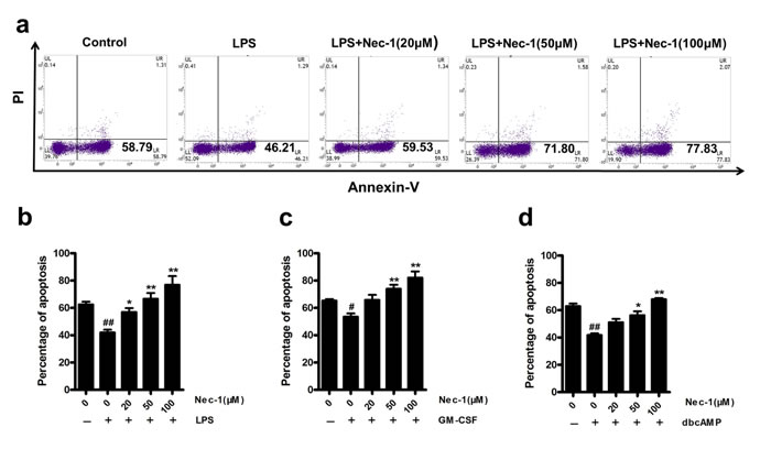 Nec-1 reversed the inhibition of apoptosis induction.