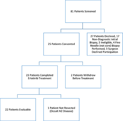 Flow diagram of this clinical study of preoperative erlotinib followed by surgical resection in patients with early stage NSCLC.