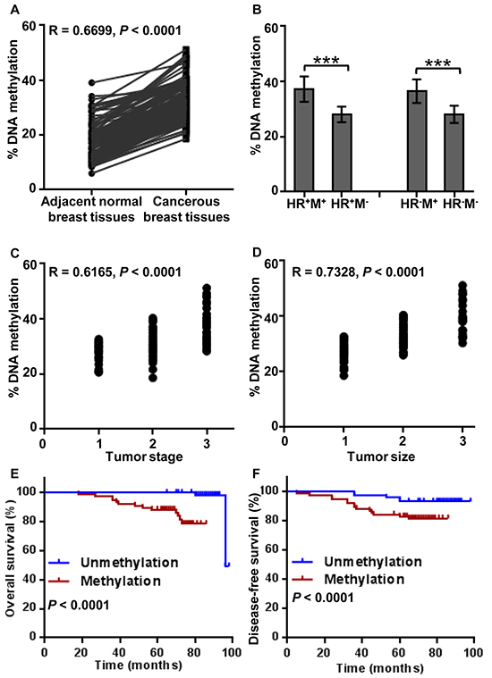 Analysis of BRCA1 promoter methylation levels&#x2019; correlations.