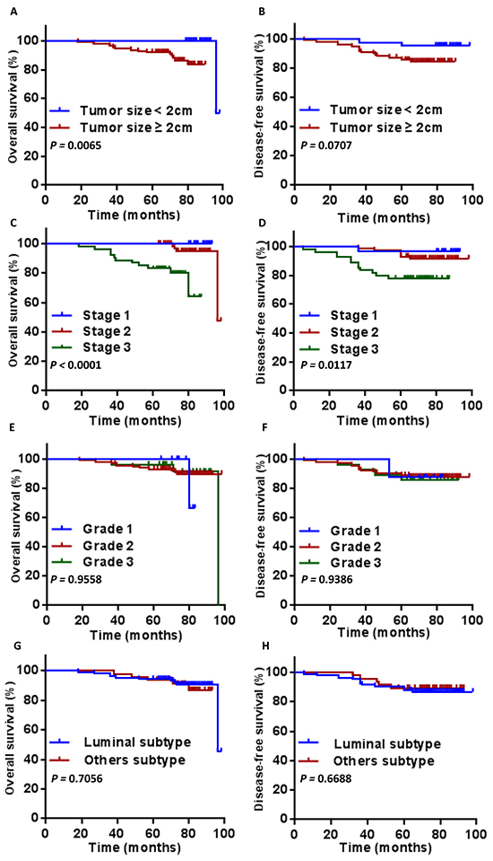 Overall survival and disease free survival according to tumor size A. and B. tumor stage C. and D. tumor grade E. and F. and subtype G. and H. Statistical significance is indicated.