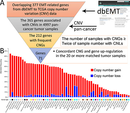 Collection of 71 EMT-implicated genes with increased gene expression induced by CNGs.