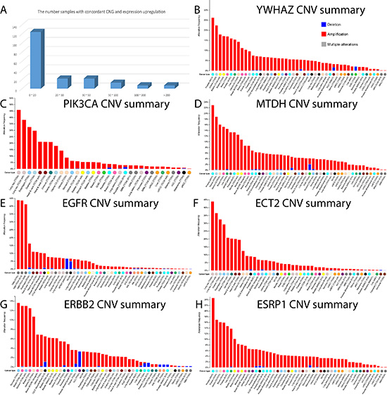 The number of genes with concordance between CNG and up-regulation, and the global CNV mutational pattern.