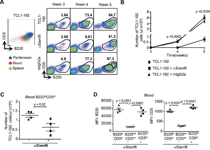 The number of TCL1-192 cells is reduced in the blood of SCID mice upon treatment with &#x03B1;Slamf6.