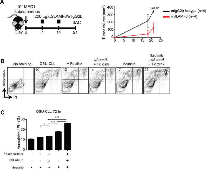 Anti-human SLAMF6 affects progression of human MEC-1 and OSU CLL cells in vitro and in vivo.