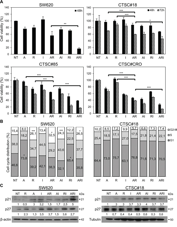 IFN-&#x03B1; potentiates the antiproliferative effects exerted by azacitidine and romidepsin on both metastatic cells and CSCs of CRC.